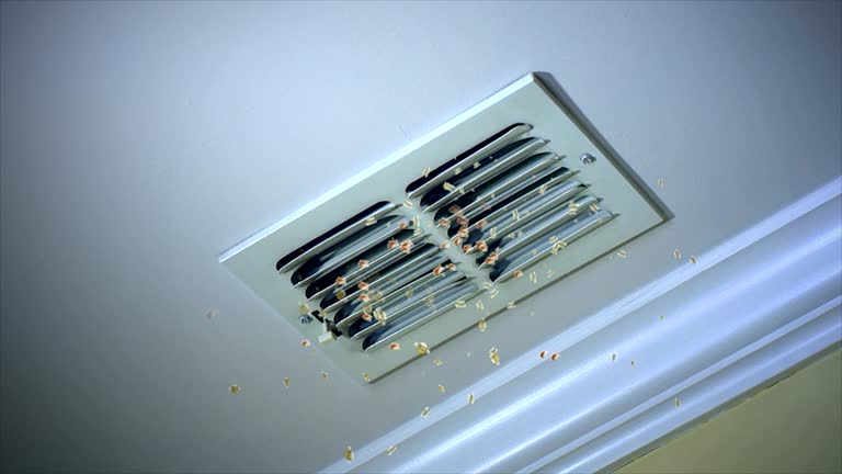 Best Air Duct Cleaning Near Me  in Sibley, IA