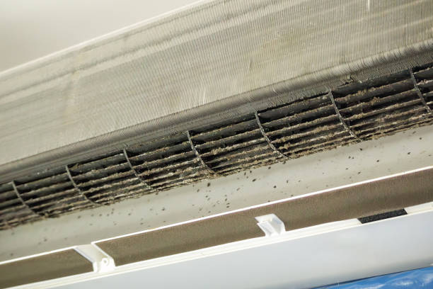Best Air Duct Cleaning Near Me  in Sibley, IA