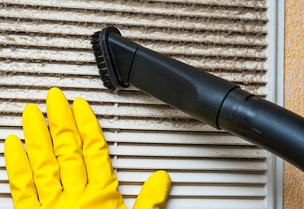 Best Air Duct Mold Removal  in Sibley, IA